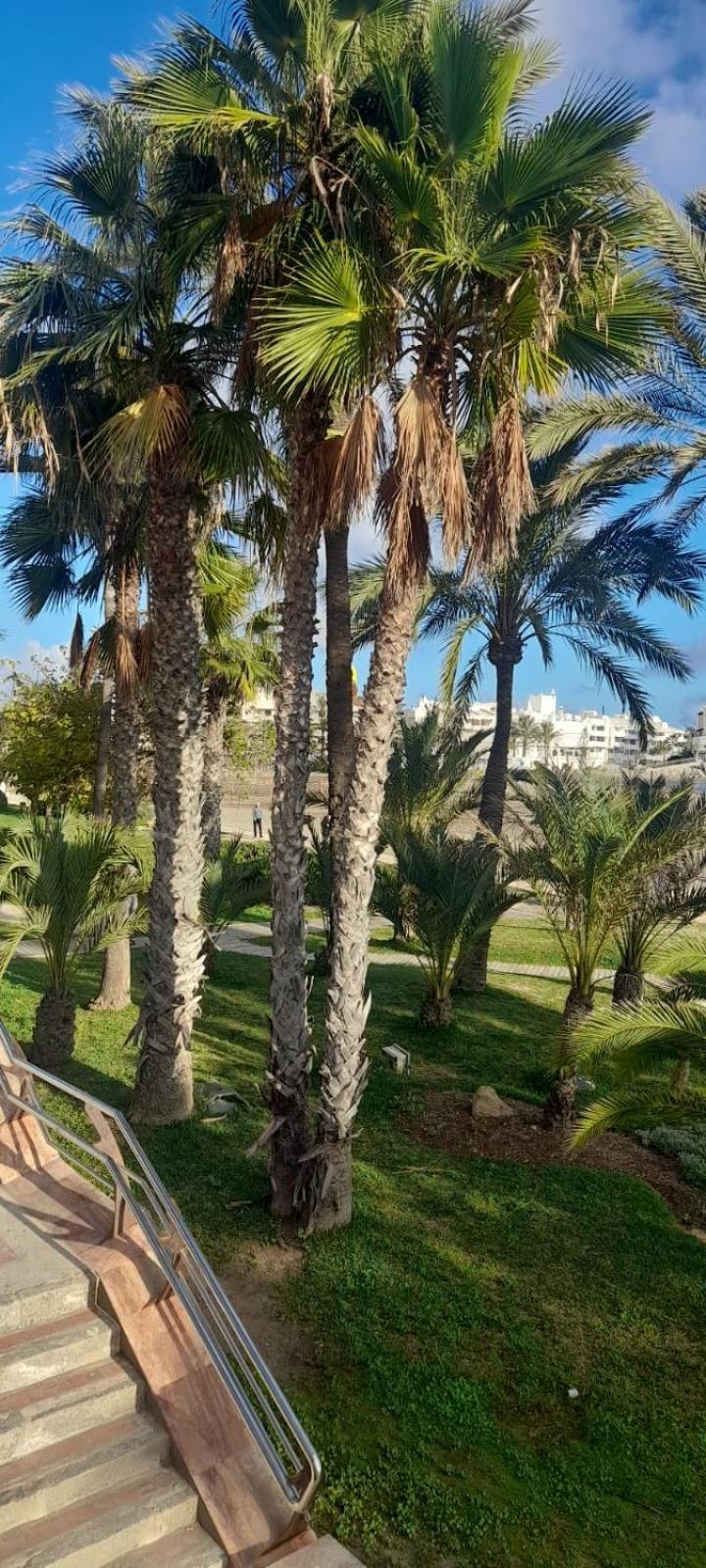 Apartamento Pepita Alay Benalmadena Exterior photo